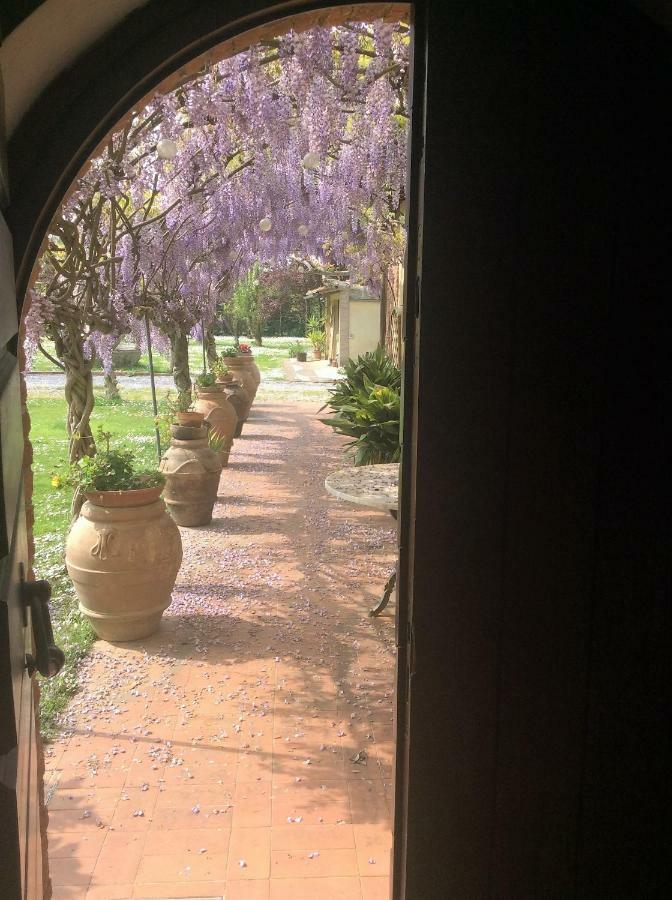 Bed And Breakfast Queen Pisa Esterno foto
