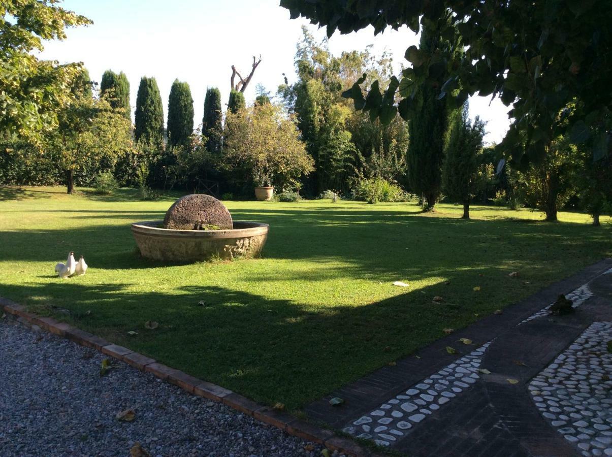 Bed And Breakfast Queen Pisa Esterno foto